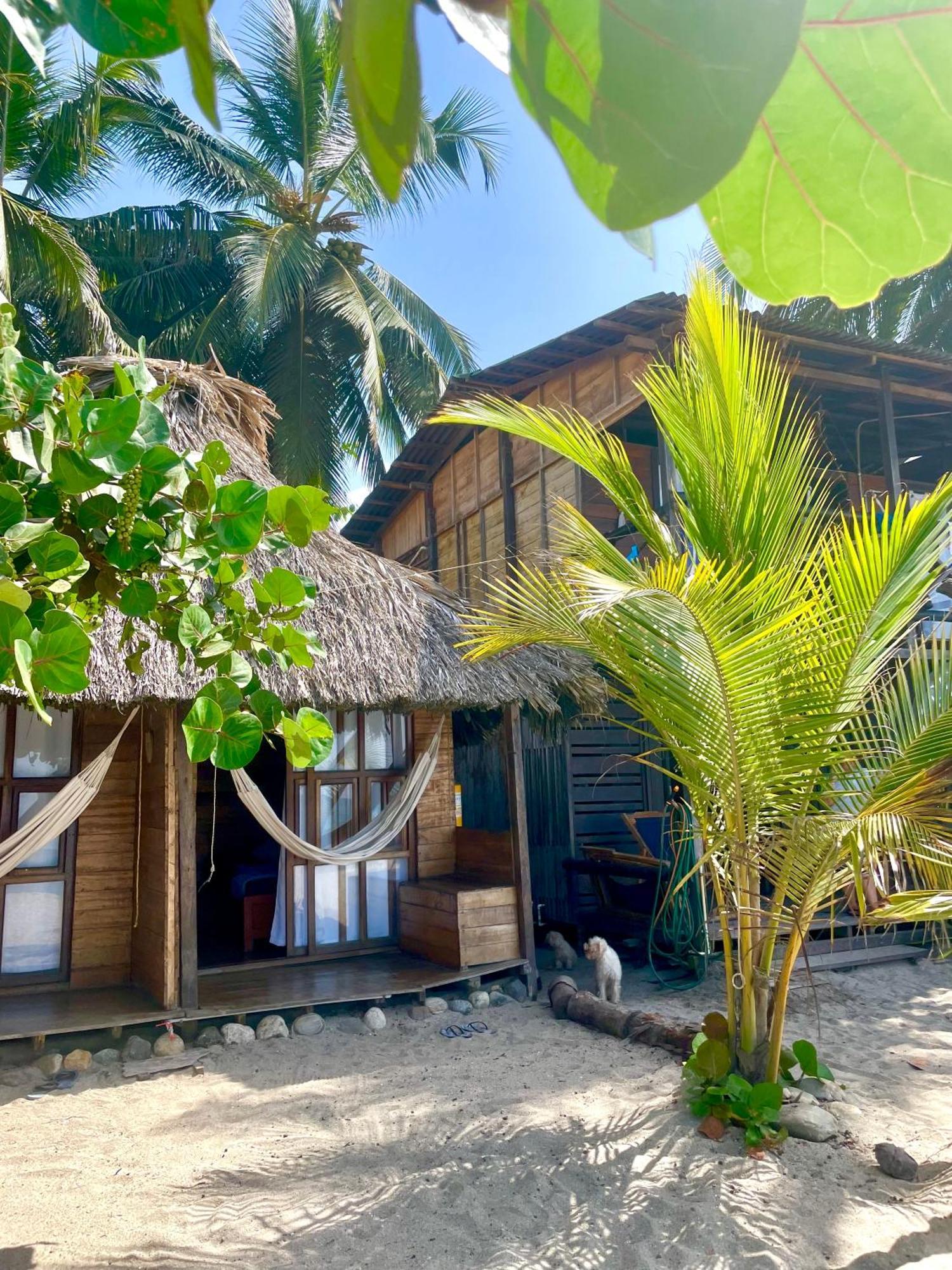 Hotel Chill And Surf Mendihuaca Guachaca Exteriér fotografie